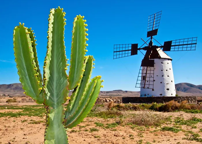 Sunsetview El 2-4 Personas Daire Cotillo