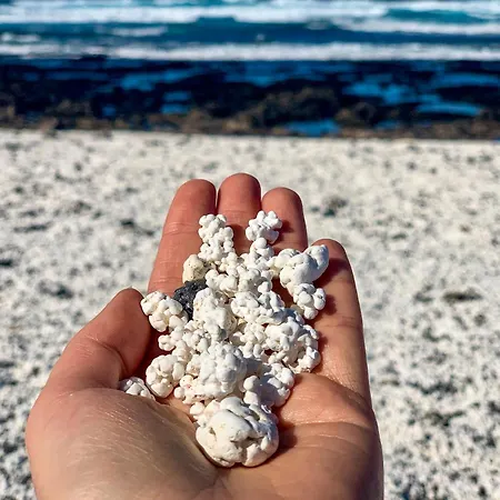 Sunsetview El 2-4 Personas * Cotillo